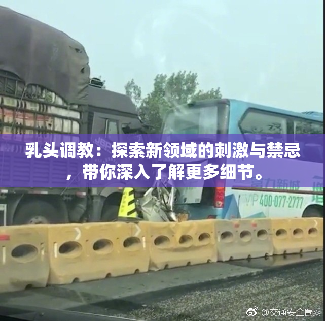 乳头调教：探索新领域的刺激与禁忌，带你深入了解更多细节。
