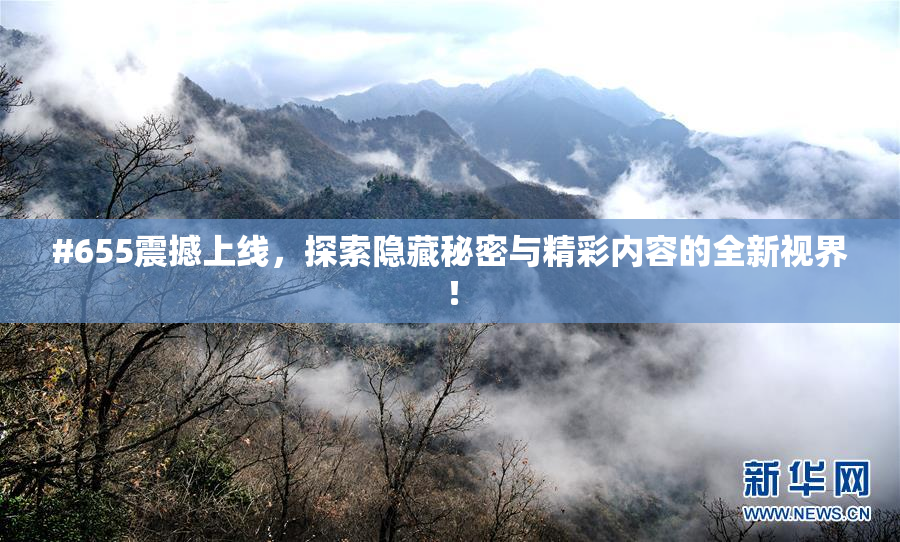 #655震撼上线，探索隐藏秘密与精彩内容的全新视界！
