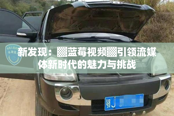 新发现：▓蓝莓视频▓引领流媒体新时代的魅力与挑战