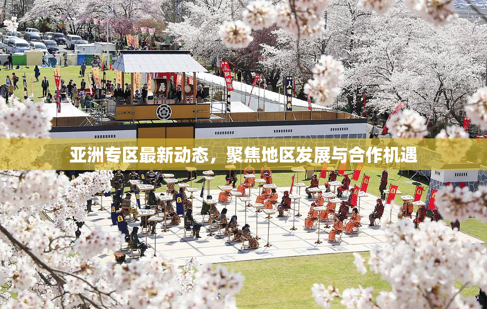 亚洲专区最新动态，聚焦地区发展与合作机遇