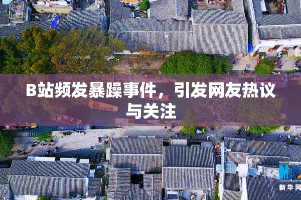 B站频发暴躁事件，引发网友热议与关注