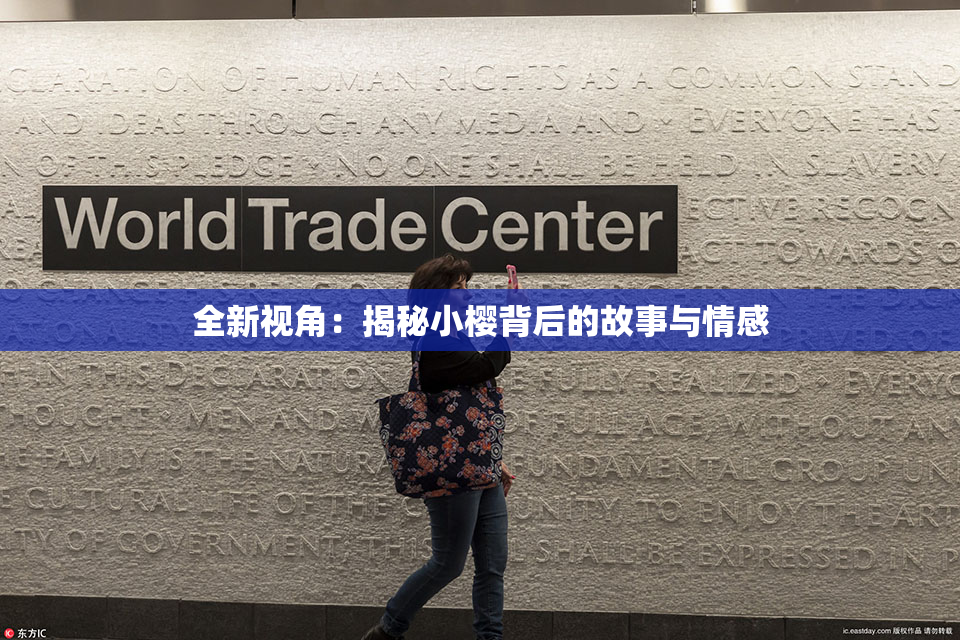 全新视角：揭秘小樱背后的故事与情感