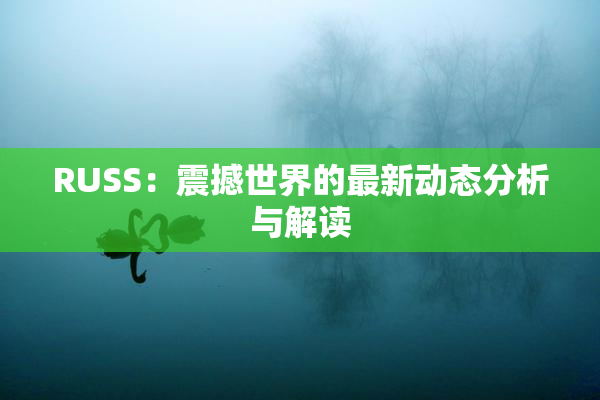 RUSS：震撼世界的最新动态分析与解读
