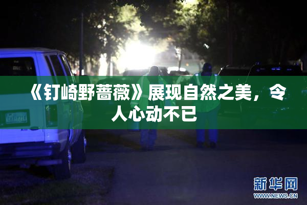 《钉崎野蔷薇》展现自然之美，令人心动不已