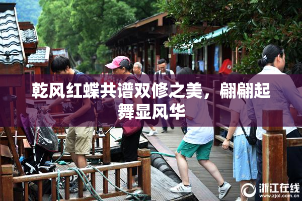 乾风红蝶共谱双修之美，翩翩起舞显风华