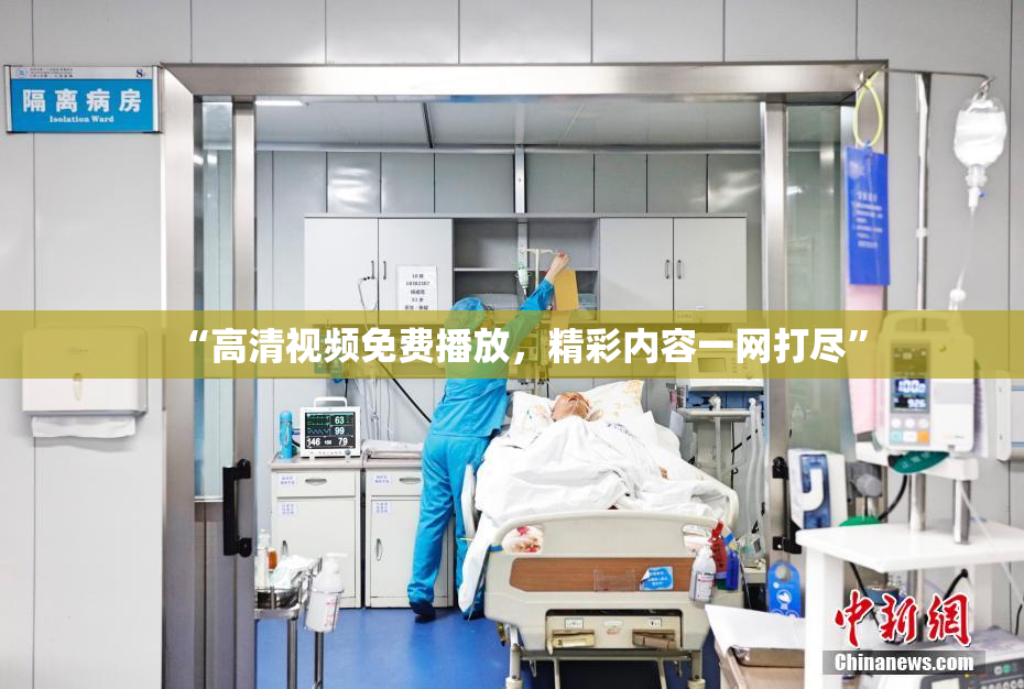 “高清视频免费播放，精彩内容一网打尽”