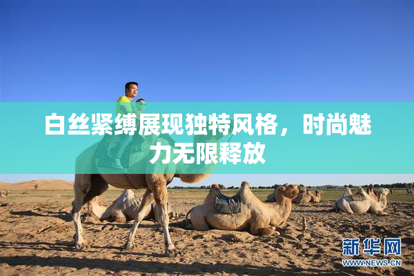 白丝紧缚展现独特风格，时尚魅力无限释放