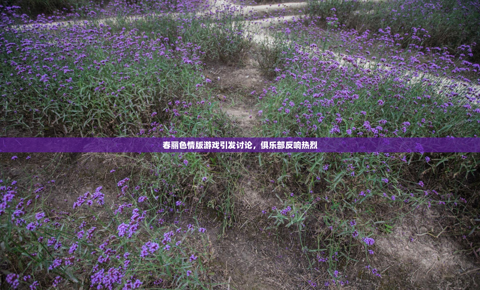 春丽色情版游戏引发讨论，俱乐部反响热烈