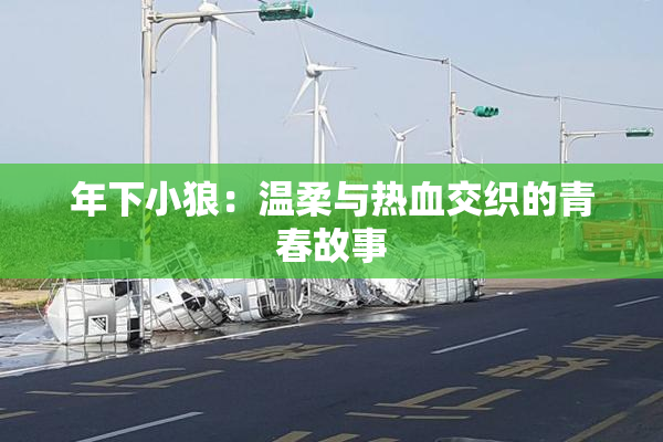 年下小狼：温柔与热血交织的青春故事