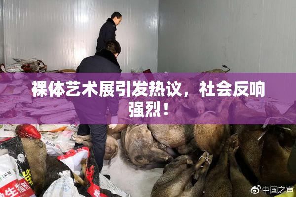 裸体艺术展引发热议，社会反响强烈！