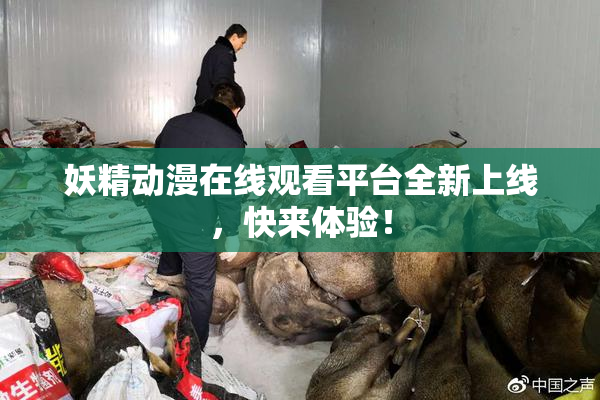 妖精动漫在线观看平台全新上线，快来体验！