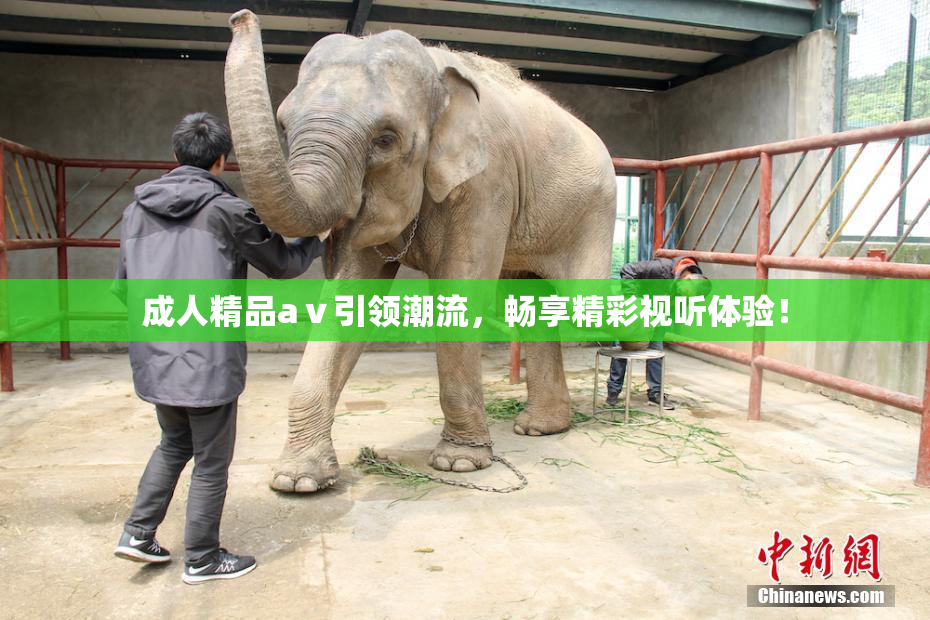 成人精品aⅴ引领潮流，畅享精彩视听体验！