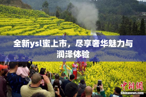 全新ysl蜜上市，尽享奢华魅力与润泽体验