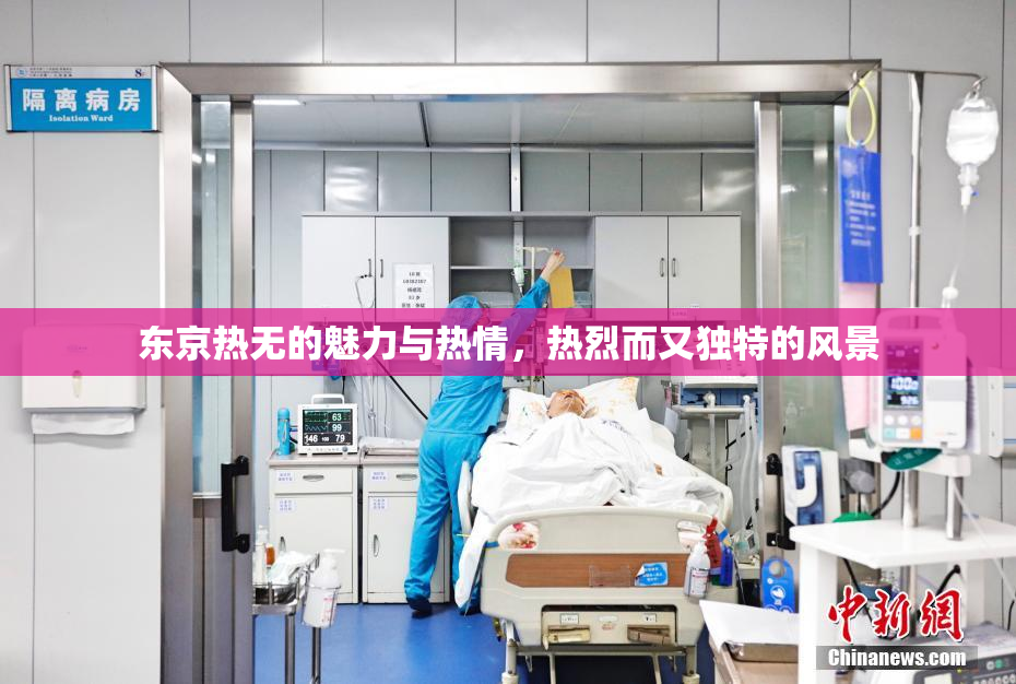 东京热无的魅力与热情，热烈而又独特的风景