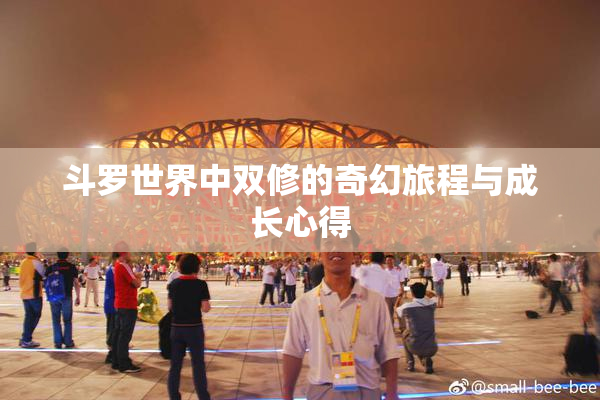 斗罗世界中双修的奇幻旅程与成长心得