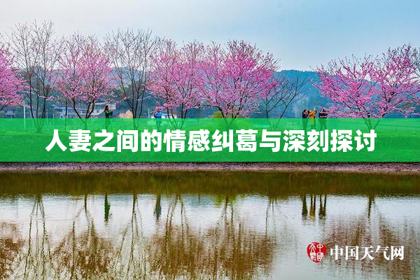 人妻之间的情感纠葛与深刻探讨