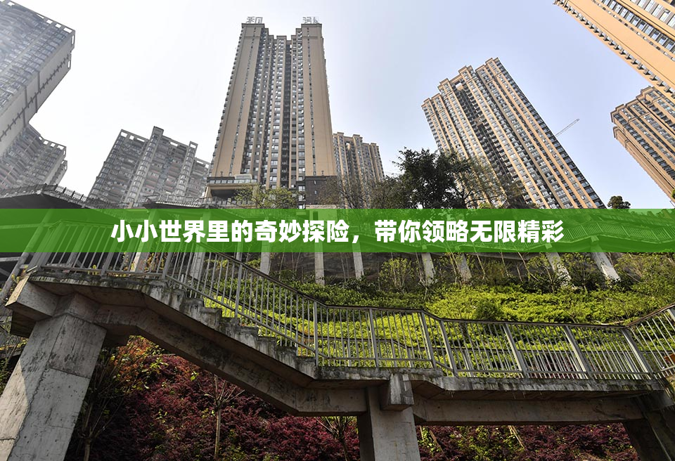 小小世界里的奇妙探险，带你领略无限精彩