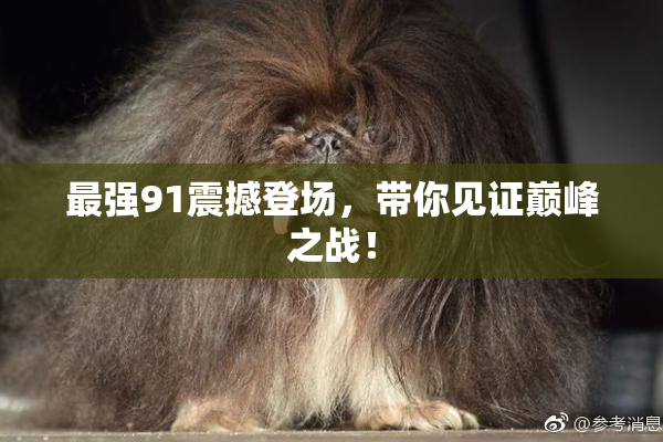 最强91震撼登场，带你见证巅峰之战！