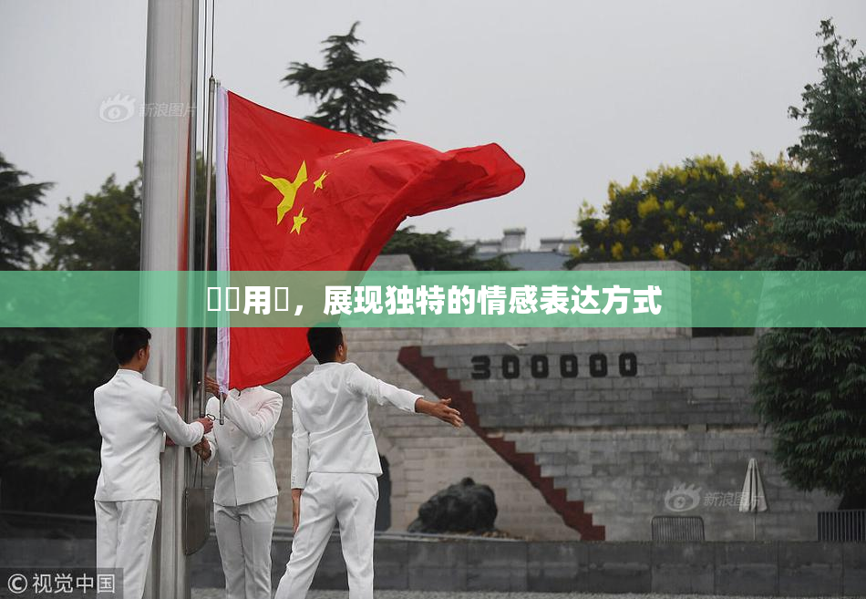 妺妺用夾，展现独特的情感表达方式