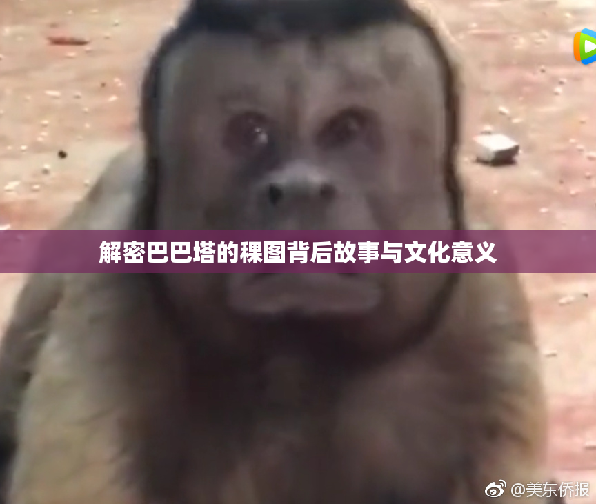 解密巴巴塔的稞图背后故事与文化意义