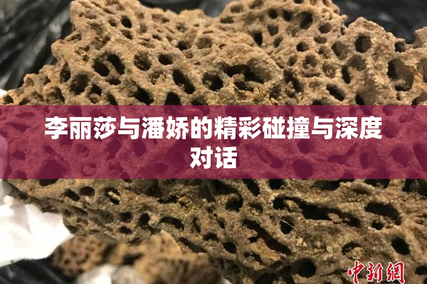 李丽莎与潘娇的精彩碰撞与深度对话