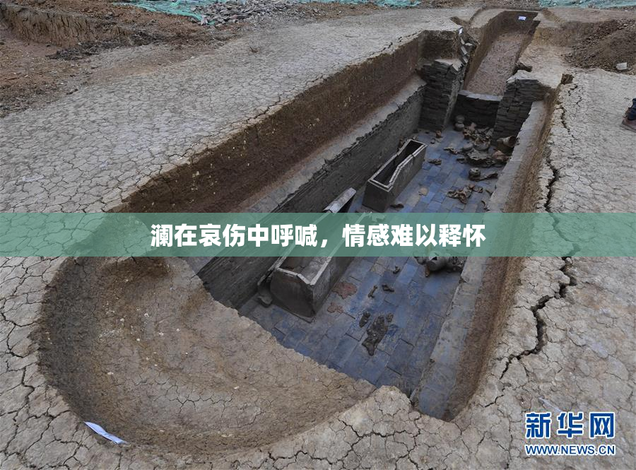 澜在哀伤中呼喊，情感难以释怀