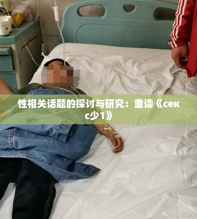 性相关话题的探讨与研究：重读《секс少1》