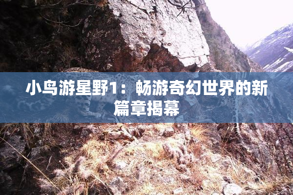 小鸟游星野1：畅游奇幻世界的新篇章揭幕