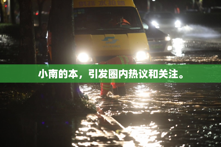 小南的本，引发圈内热议和关注。