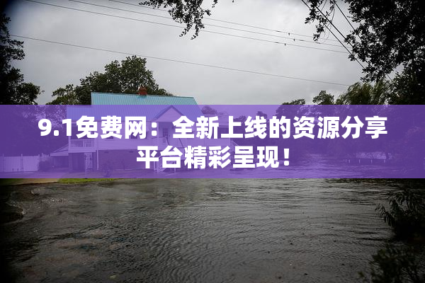 9.1免费网：全新上线的资源分享平台精彩呈现！