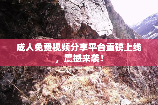 成人免费视频分享平台重磅上线，震撼来袭！