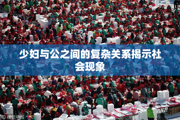 少妇与公之间的复杂关系揭示社会现象