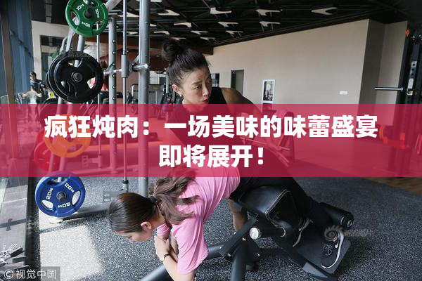 疯狂炖肉：一场美味的味蕾盛宴即将展开！