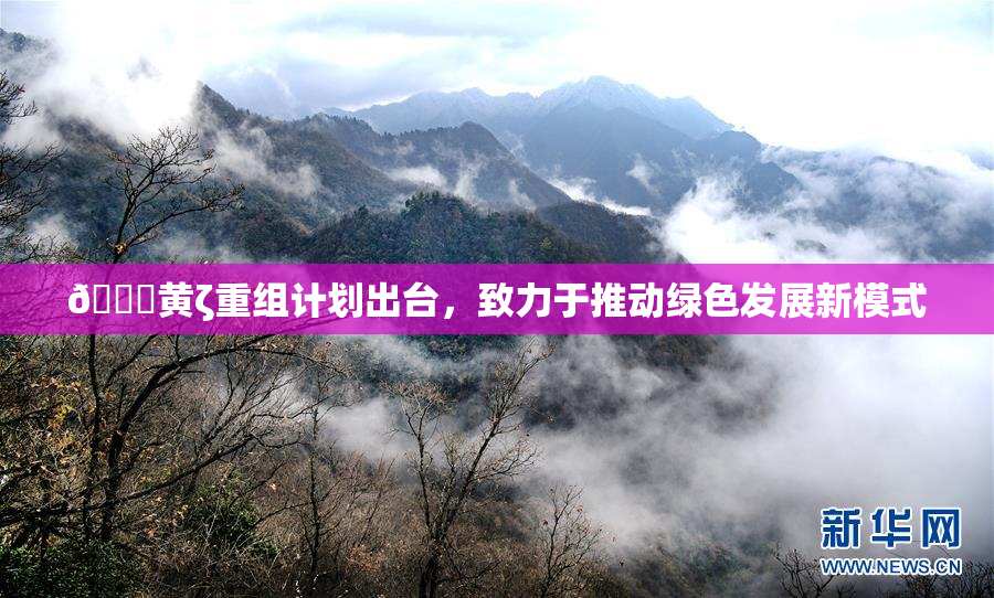 🔞黄ζ重组计划出台，致力于推动绿色发展新模式