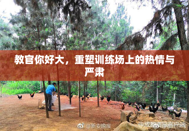 教官你好大，重塑训练场上的热情与严肃