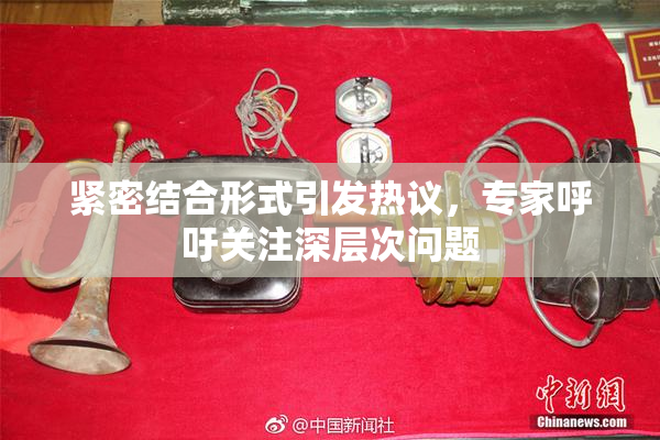 紧密结合形式引发热议，专家呼吁关注深层次问题