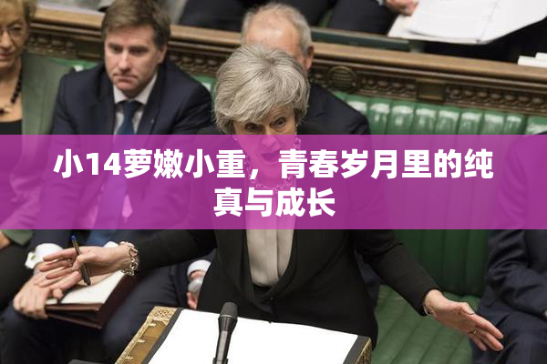 小14萝嫩小重，青春岁月里的纯真与成长