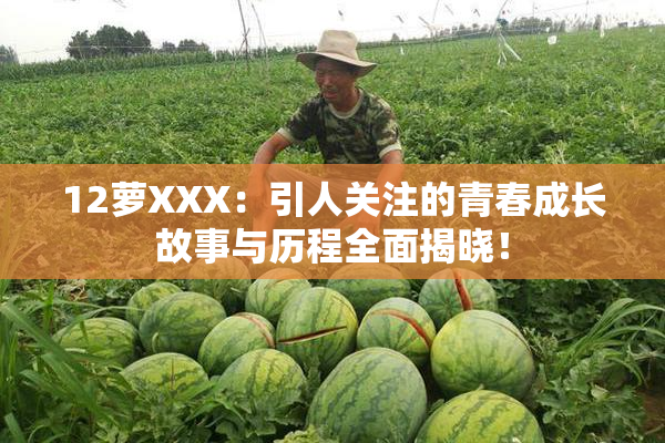 12萝XXX：引人关注的青春成长故事与历程全面揭晓！