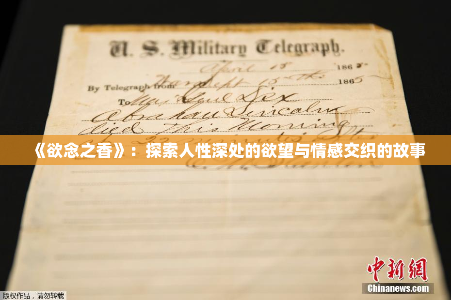 《欲念之香》：探索人性深处的欲望与情感交织的故事