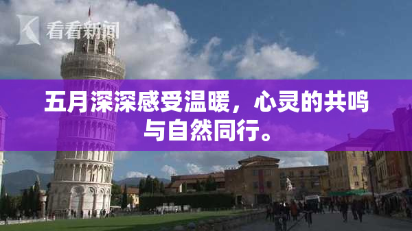 五月深深感受温暖，心灵的共鸣与自然同行。