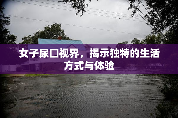 女子尿囗视界，揭示独特的生活方式与体验