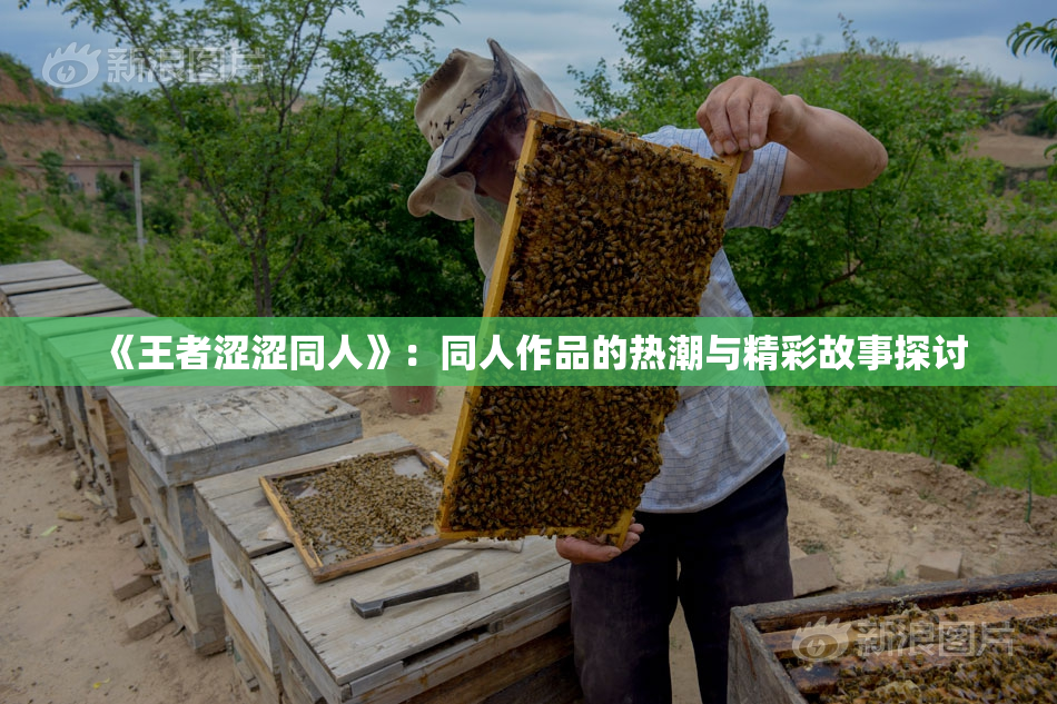《王者涩涩同人》：同人作品的热潮与精彩故事探讨