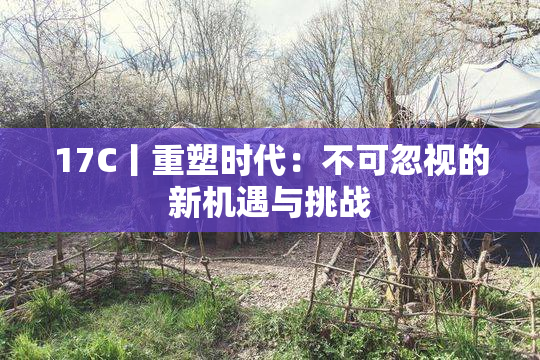 17C丨重塑时代：不可忽视的新机遇与挑战