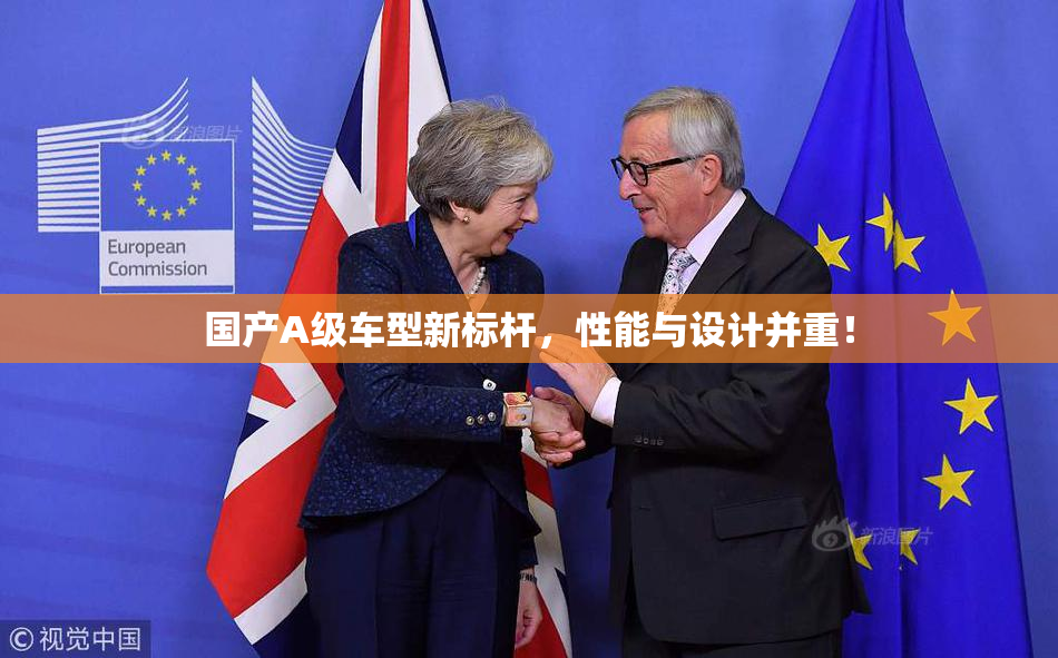 国产A级车型新标杆，性能与设计并重！