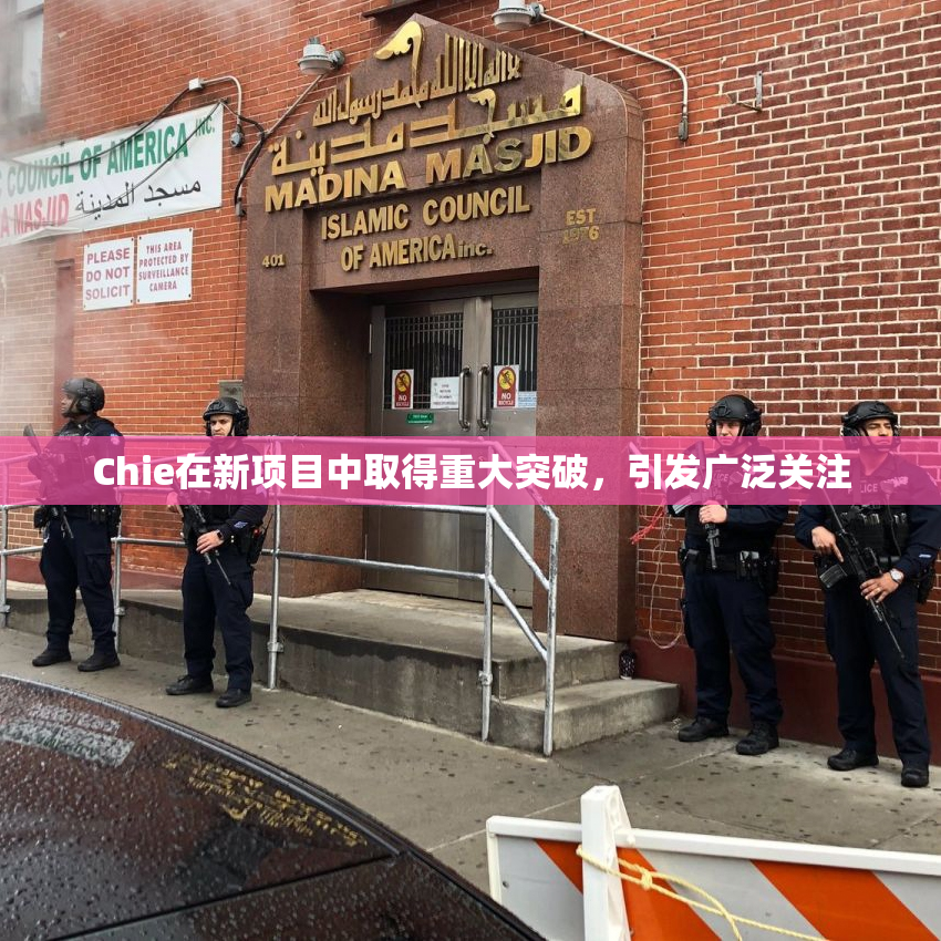 Chie在新项目中取得重大突破，引发广泛关注