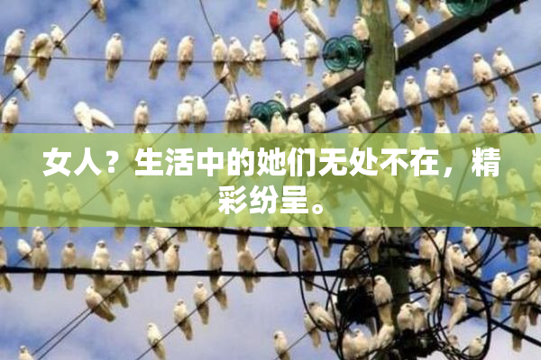 女人？生活中的她们无处不在，精彩纷呈。