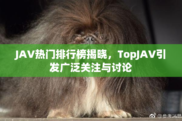 JAV热门排行榜揭晓，TopJAV引发广泛关注与讨论