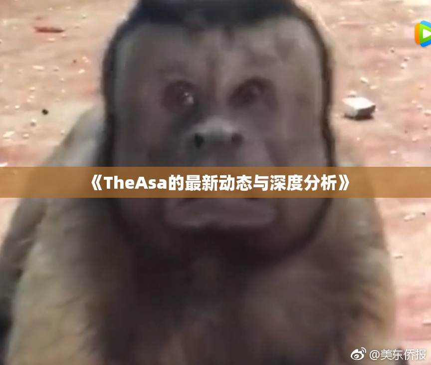 《TheAsa的最新动态与深度分析》