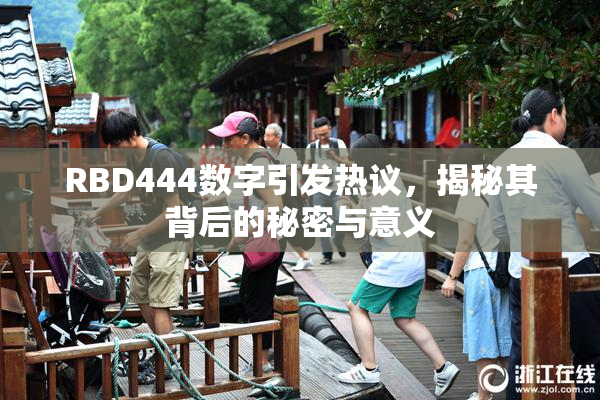 RBD444数字引发热议，揭秘其背后的秘密与意义