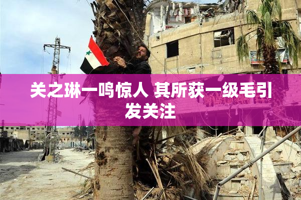 关之琳一鸣惊人 其所获一级毛引发关注